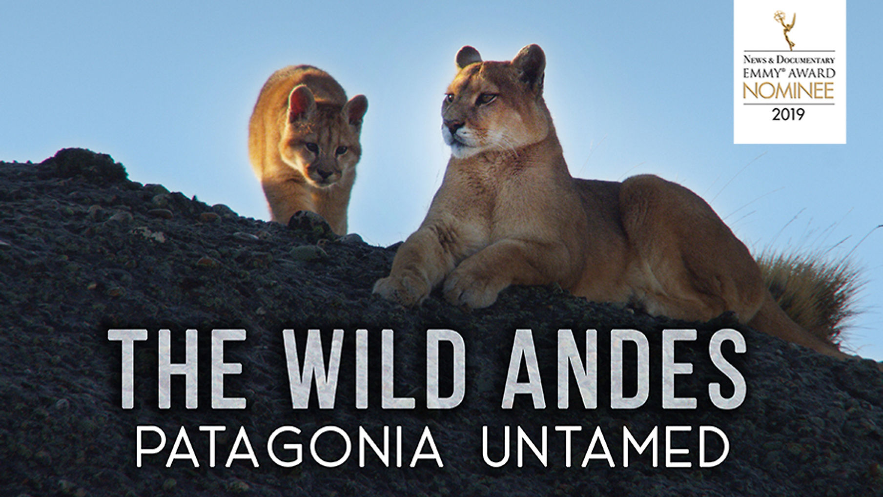The Wild Andes - Patagonia Untamed